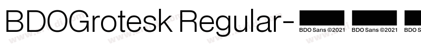 BDOGrotesk Regular字体转换 BDOGrotesk Regular字体转换